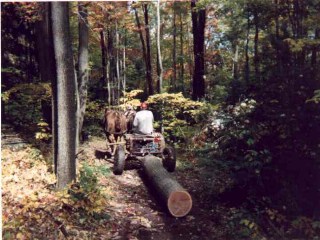 {short description of image}